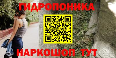прущая мука Гусиноозёрск